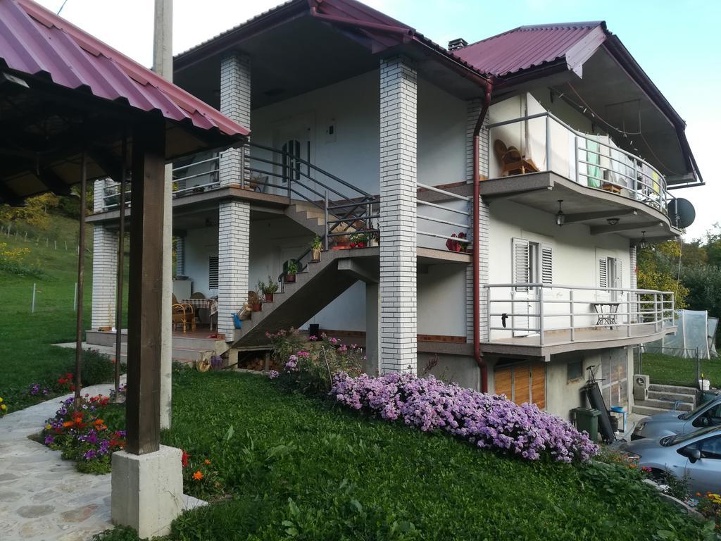Apartment Mitric Pluzine Bagian luar foto