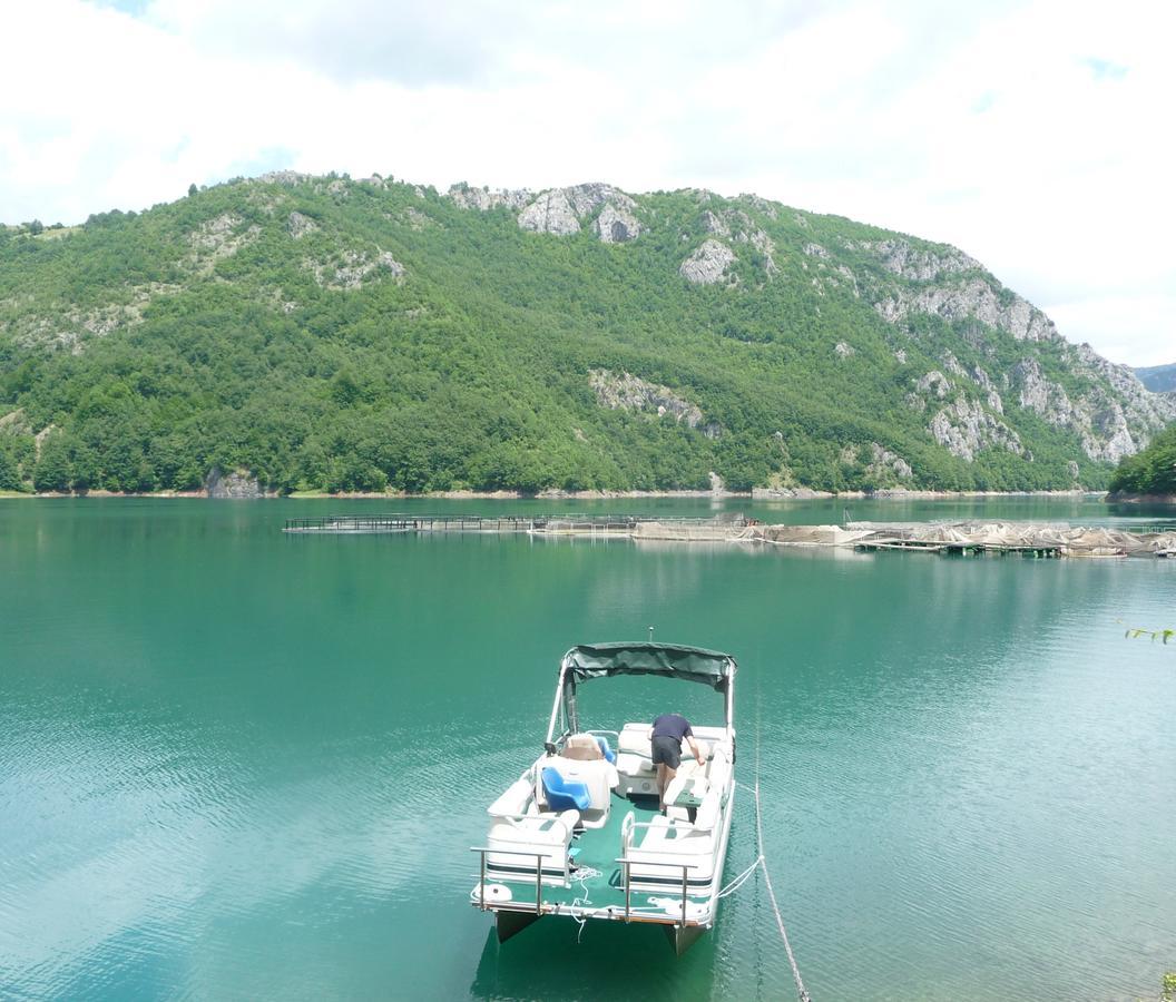 Apartment Mitric Pluzine Bagian luar foto